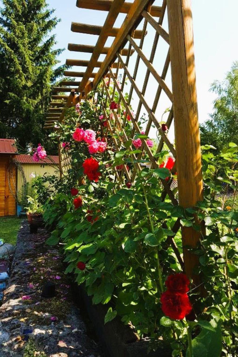Villa Olszyna Pod Brzoza Exterior foto